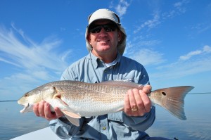 redfish,everglades,islamorada,hells bay,fishing,tailing,sight fishing