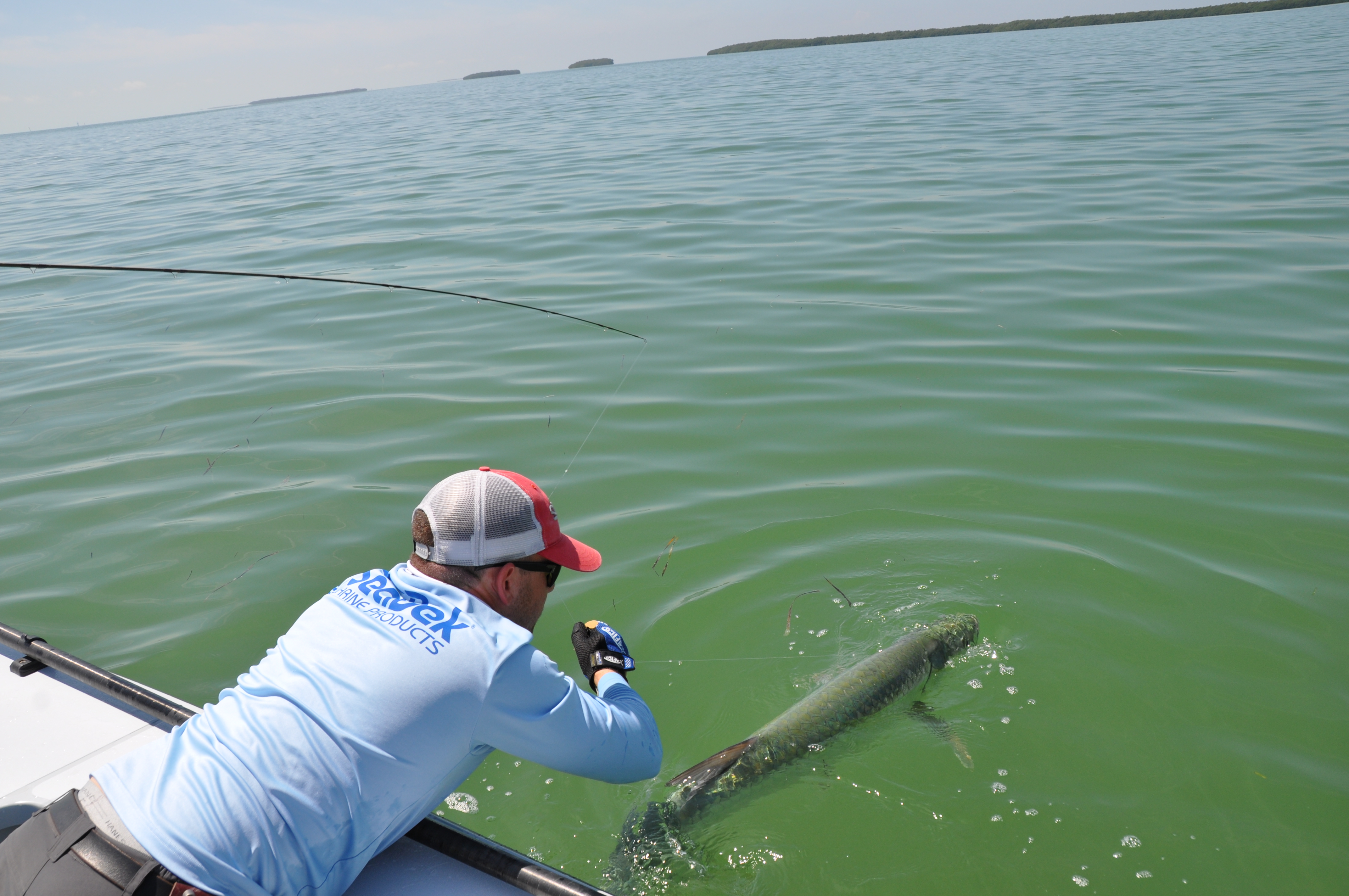 Islamorada Tarpon Season is here - FireFly Charters