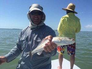 redfish,everglades,islamorada,hells bay,fishing,tailing,sight fishing,tripletail,trout